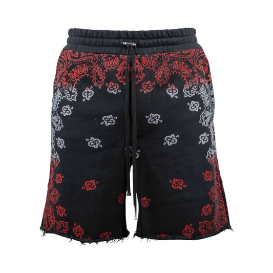 Amiri Shorts