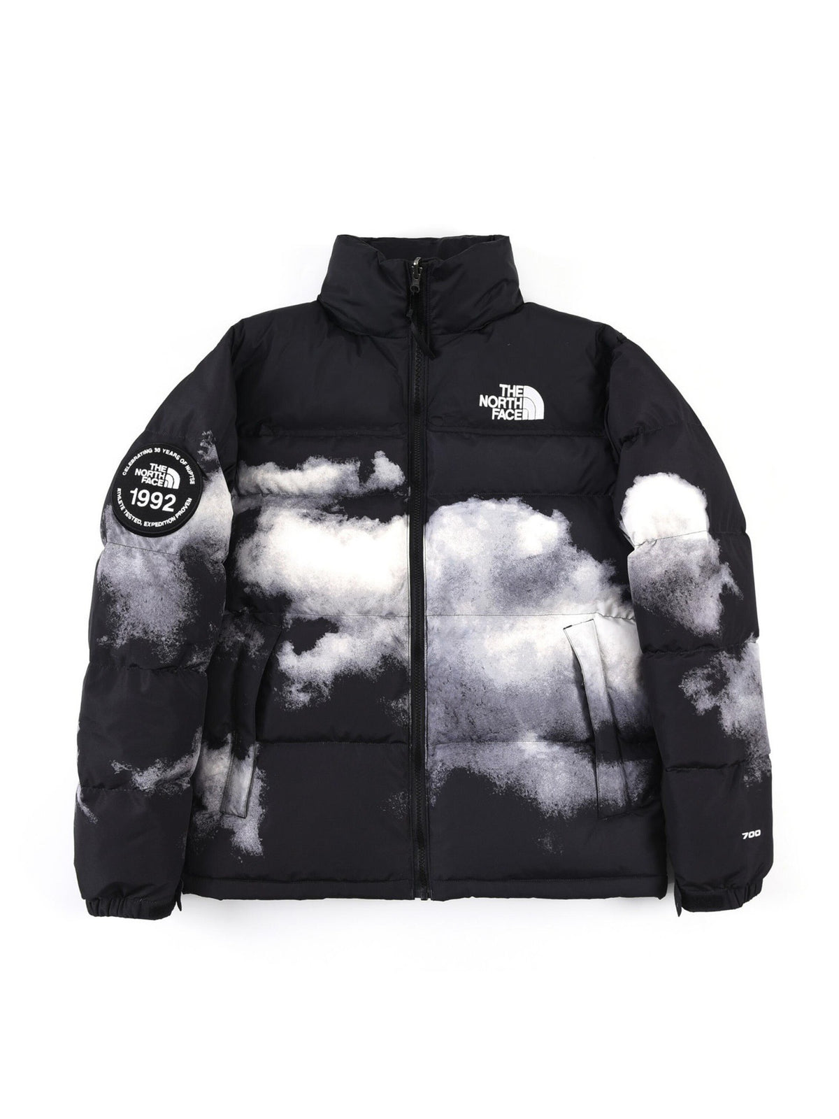 Giubbotto The North Face
